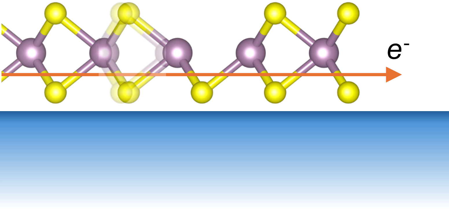 Main Figure